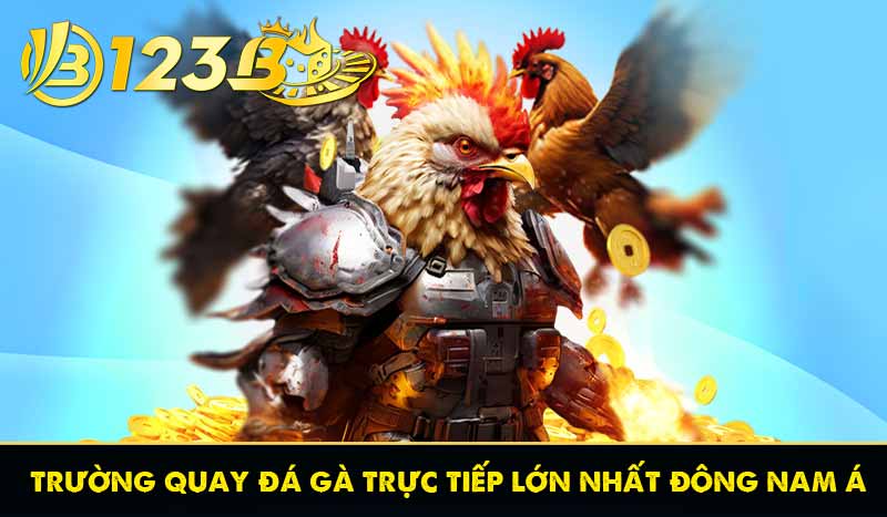 TRANG CHỦ 87 trường quay đá gà trực tiếp lớn nhất đông nam á